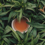 mint-insta2.png